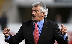 David Vidal